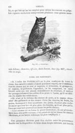 Grand-Duc - Histoire naturelle des drogues simples, ou Cours d'histoire naturelle professé à l'École [...]
