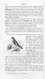Chardonneret - Histoire naturelle des drogues simples, ou Cours d'histoire naturelle professé à l'Éc [...]