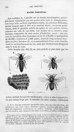 Abeilles - Histoire naturelle des drogues simples, ou Cours d'histoire naturelle professé à l'École  [...]