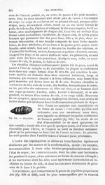 Chrysalide - Histoire naturelle des drogues simples, ou Cours d'histoire naturelle professé à l'Écol [...]