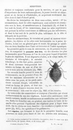 Punaise des lits - Histoire naturelle des drogues simples, ou Cours d'histoire naturelle professé à  [...]