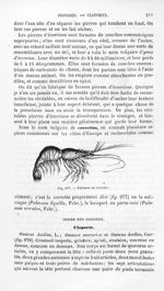 Palemon ou crevette - Histoire naturelle des drogues simples, ou Cours d'histoire naturelle professé [...]