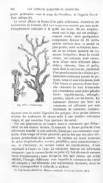 Corail rouge - Histoire naturelle des drogues simples, ou Cours d'histoire naturelle professé à l'Éc [...]