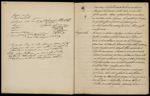 [Dessin manuscrit d'une fougère en forme de crosse] - Cours de l'École supérieure de pharmacie de St [...]