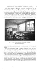 [Le bombardement de l'Ecole supérieure de pharmacie de Nancy] Fig. 5. - Vue du laboratoire de physiq [...]