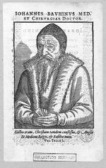 Bauhin / Beauhin, Johannes / Jean (1541-1613)