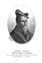 Belon, Pierre (1517-1564)