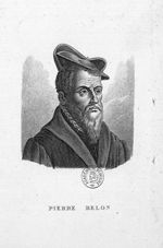Belon, Pierre (1517-1564)