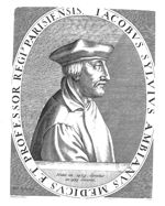Dubois / Sylvius, Jacques d'Amiens / Jacobus (1478-1555)