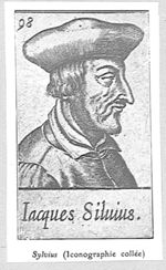 DUBOIS / SYLVIUS, Jacques d'Amiens / Jacobus (1478-1555)