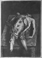 Muscles - Engravings, explaining the anatomy of the bones, muscles and joints