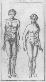 [Éventration d'un homme et d'une femme] - Joannis Munnicks anatomia nova