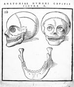 [Anatomie du crâne] - Anatomia capitis humani