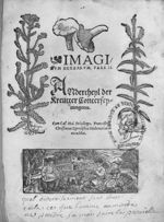 [Page de titre] - Imaginum herbarum vivae