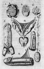 [Appareil génital masculin] - Traité d'anatomie du corps humain, contenant les découvertes des authe [...]