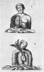 [Anatomie du thorax. Original en couleur. Lavis à l'encre de Chine] - Traité d'anatomie du corps hum [...]
