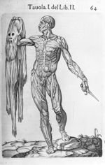 ["L'homme au masque"] - Anatomia del corpo humano
