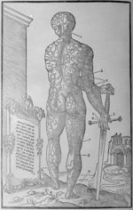 [Le système veineux] - La dissection des parties du corps humain, en trois livres