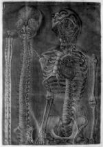 Exposition anatomique de la structure du corps humain