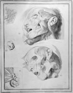De haut en bas et de gauche à droite : Ramifications des canaux salivaires / Muscles du visage / Ore [...]