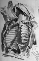 [Cage thoracique après retrait des viscères] - Anatomia humani corporis