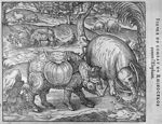 Figure du combat du rhinocéros contre l'éléphant - Discours... la mumie, de la licorne, des venins e [...]