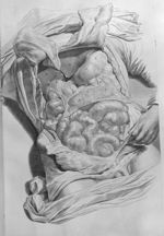 [Viscères du bas-ventre in situ] - Anatomia humani corporis, centum et quinque tabulis