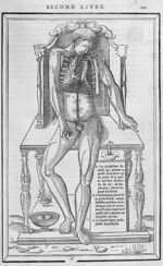 Les productions des nerfs - La dissection des parties du corps humain, en trois livres