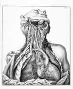 [Le coeur et ses liaisons avec les différentes parties du corps] - Tabulae neurologicae ... cardiaco [...]