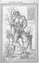 Le membre viril - La dissection des parties du corps humain, en trois livres