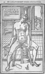 Membre honteux de la femme - La dissection des parties du corps humain, en trois livres