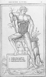 Intestins - La dissection des parties du corps humain, en trois livres