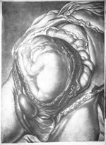 [Abdomen ouvert laissant voir l'enfant à l'intérieur de l'utérus] - Explicatio demonstrationis uteri [...]