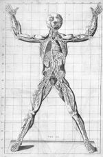 Exposition anatomique de la structure du corps humain