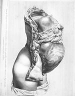 Conspectus viscerum abdominalium - Anatomia uteri humani gravidi tabulis illustrata