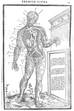 Veine cave, grande artère, phlébotomies - La dissection des parties du corps humain, en trois livres