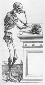 Secunda ossium tabula - Anatomes totius aere insculpta delineatio