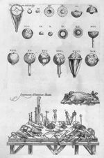 Prima oculorum figura. Anatomicorum instrumentorum delineatio. - Anatomes totius aere insculpta deli [...]