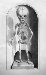 Novem circiter mensium foetus ossa - Anatomia humani corporis, centum et quinque tabulis
