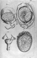 Historia anatomica humani corporis singularum ejus partium multis controversiis et observationibus n [...]