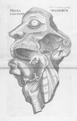 Figura organorum locutionis - Opera omnia anatomica et physiologica