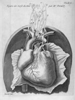 Figure des nerfs du coeur par Mr Portal - Traité de la structure du coeur, de son action et de ses m [...]