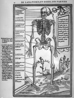 Le devant du corps remonstrant les os de son endroit - La dissection des parties du corps humain div [...]