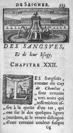 [Représentation du château de Versailles dans le bandeau?] - L'art de saigner accomodé aux principes [...]