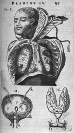 L'anatomie du corps humain, avec ses maladies et les remèdes pour les guérir