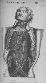 [Homme écorché au thorax et à l'abdomen ouverts] - L'anatomie du corps humain, avec ses maladies et  [...]