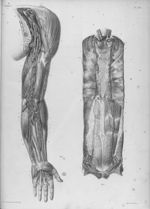 Traité complet de l'anatomie de l'homme comprenant la médecine opératoire