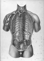 Traité complet de l'anatomie de l'homme comprenant la médecine opératoire