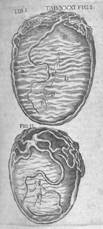 Theatrum anatomicum