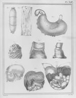 [Oesophage, estomac, duodénum] - Manuel d'anatomie descriptive du corps humain